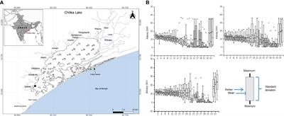 Determination of biogeochemical rate constants for Chilika Lake, a tropical brackish water lagoon on the east coast of India